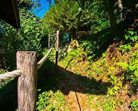 Lägenhet Domaine D'avallon - Petit Tibet Au Coeur Des Alpes *